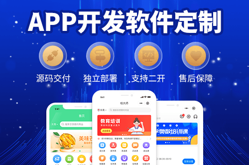 APP软件开发定制